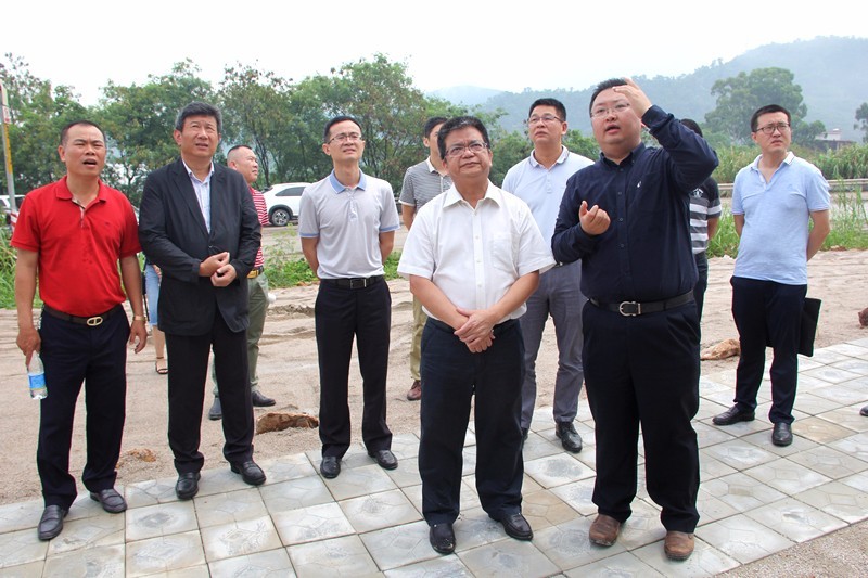 镇长王耀明调研重大项目建设和倍增计划企业发展情况