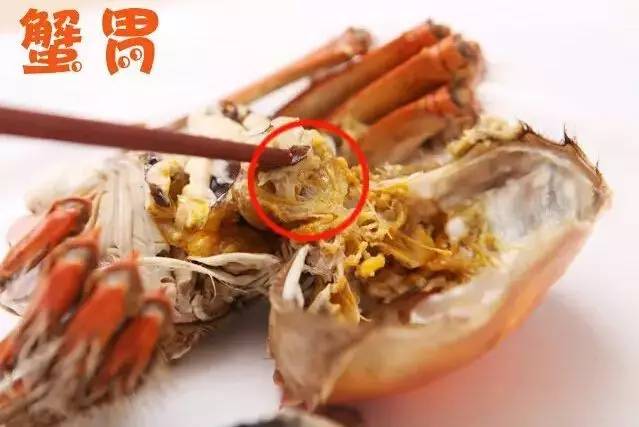 蟹胃是在蟹黄里面,三角形状,其中还有螃蟹的排泄物,吃蟹黄的时候注意