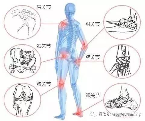 适量游泳是养护关节的最佳选择!