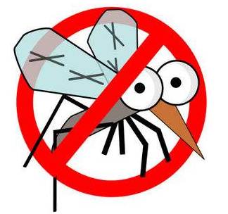 蚊香,蚊香液,花露水…驱蚊产品这么多,我们该怎么选?