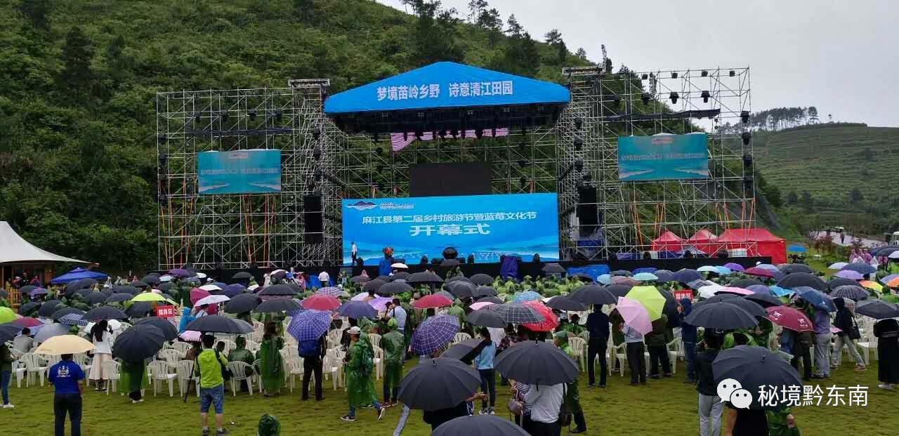 【节庆】梦幻蓝梦谷,周末游客聚,夏雨中品麻江蓝莓,别