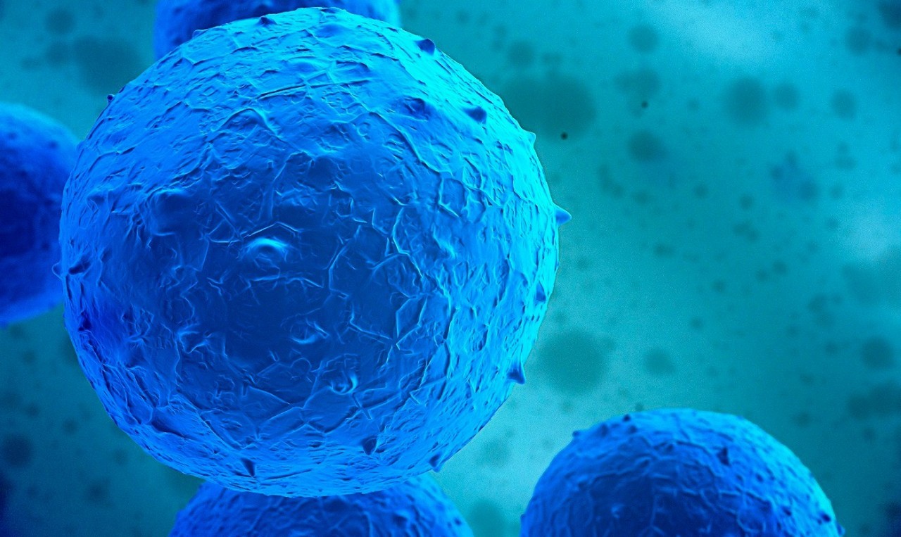 漂亮史上最精美的干细胞疗法科普视频