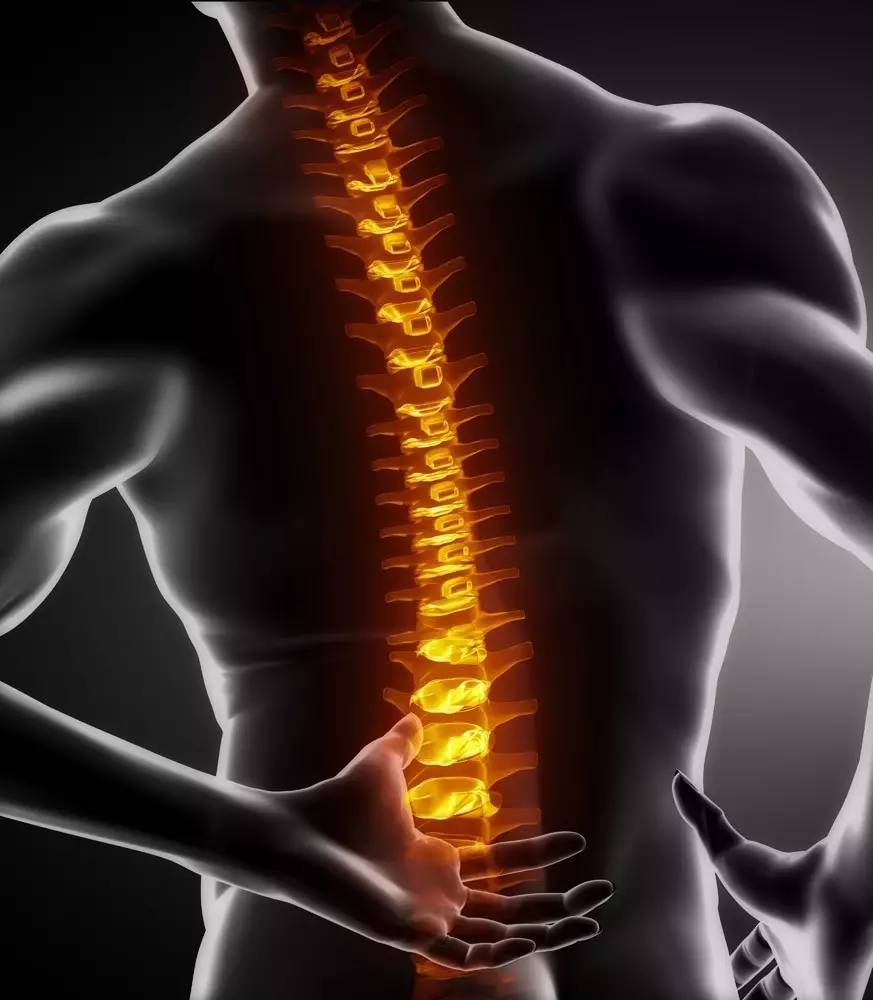 脊椎什么成语_脊椎疼痛什么原因