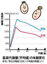 什么是基础代谢它和减肥有什么直接关系