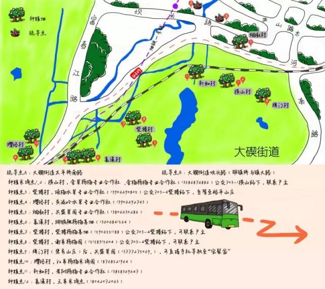 北仑本地杨梅上市!奉上2017最新版杨梅手绘地图 15种