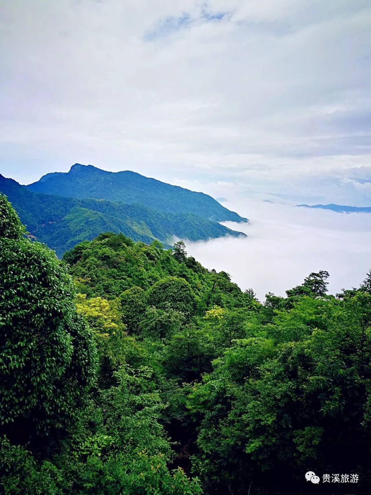 雨后青山云外云青茅境云海令人痴醉