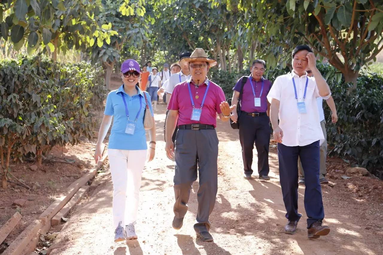 坚定大正人百年传承信念的朝圣之旅朱苦拉国际咖啡论坛圆满落幕