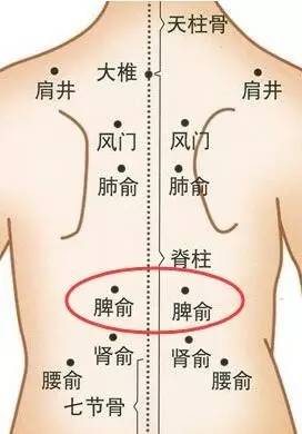 补脾,是一切疾病治疗的关键!