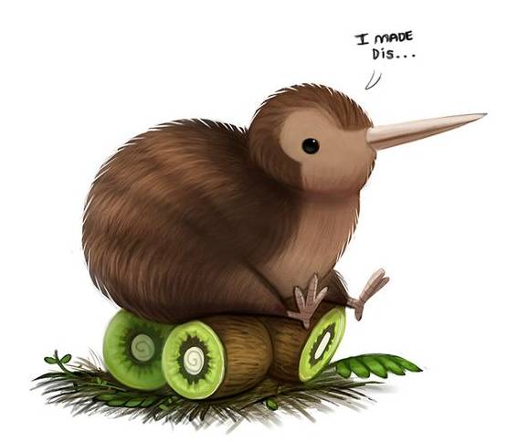 kiwi 既是新西兰人的自称 还命名了新西兰的国鸟 kiwi bird,也就是