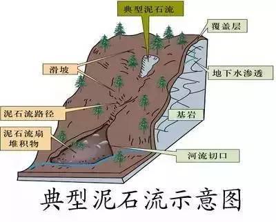 古蔺县人口_今天你文明了吗 做文明古蔺人杜绝中国式过马路