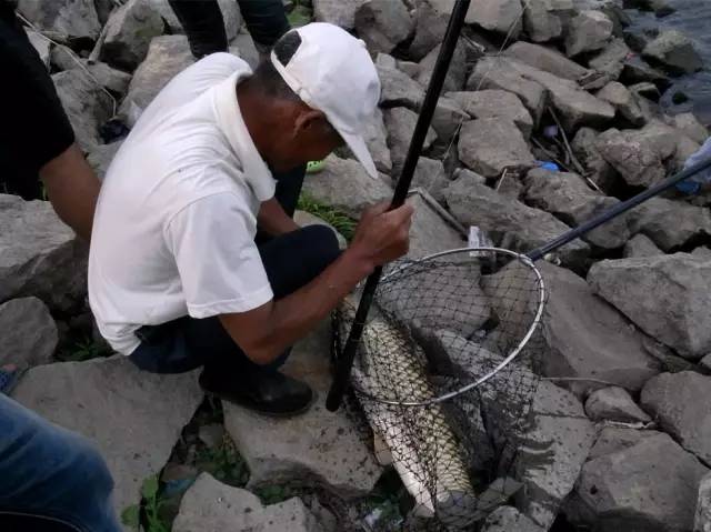 钓鱼能否拯救老男人们，成为其长寿的秘诀呢？
