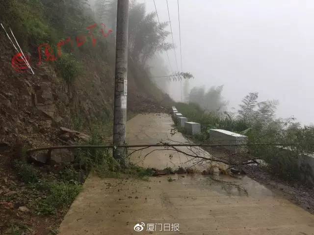 同安莲花镇淡溪村总人口_同安莲花镇叶桐燕