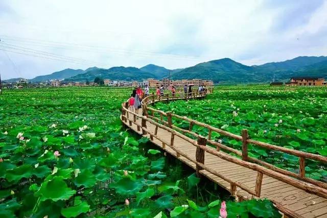 6月25日,赏千亩荷花,800年古村,汝城温泉水上乐园,只