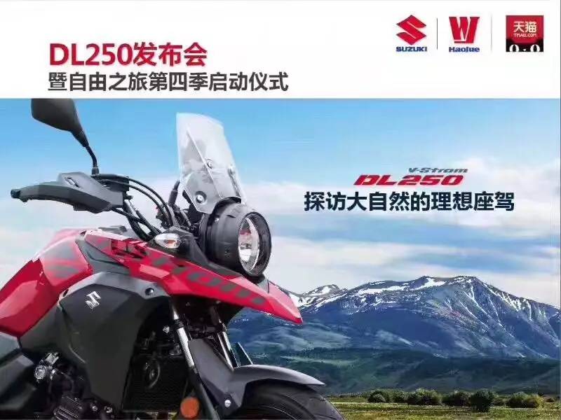 dl250价格