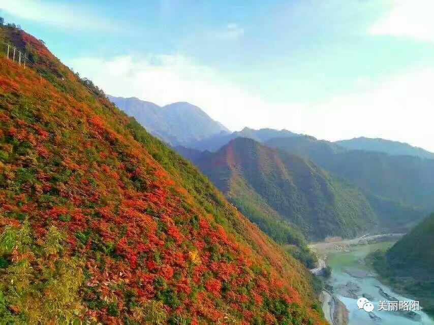 《略阳家乡录》第二期——"略阳一年四季,美景看不完!