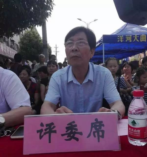 南召县云阳镇人口_南召县云阳镇第四届桃花节开幕(2)