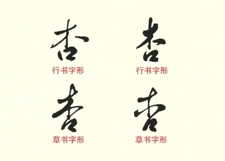 精品栏目 |《一日一字》199——杏