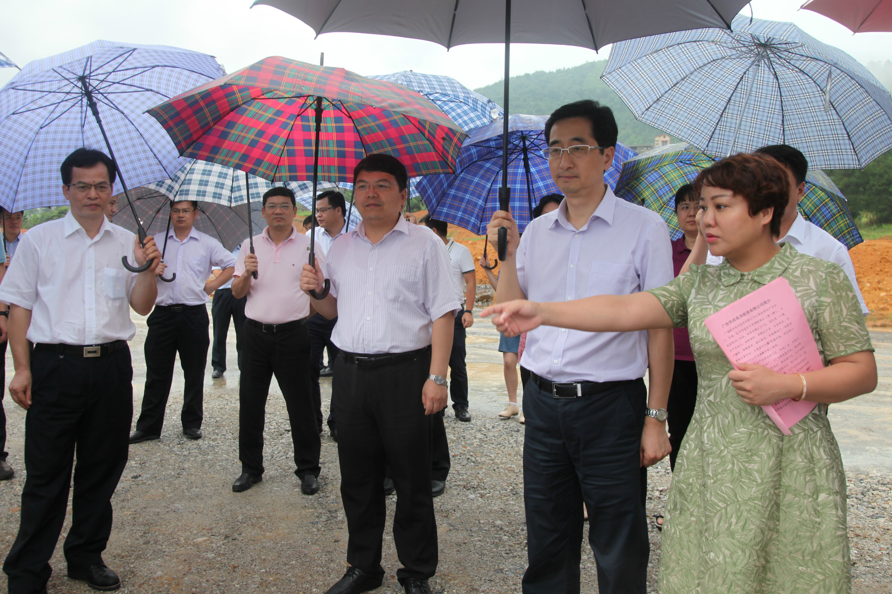 崇左市市长,广西凭祥综合保税区管委会主任孙大光(右三)陪同.