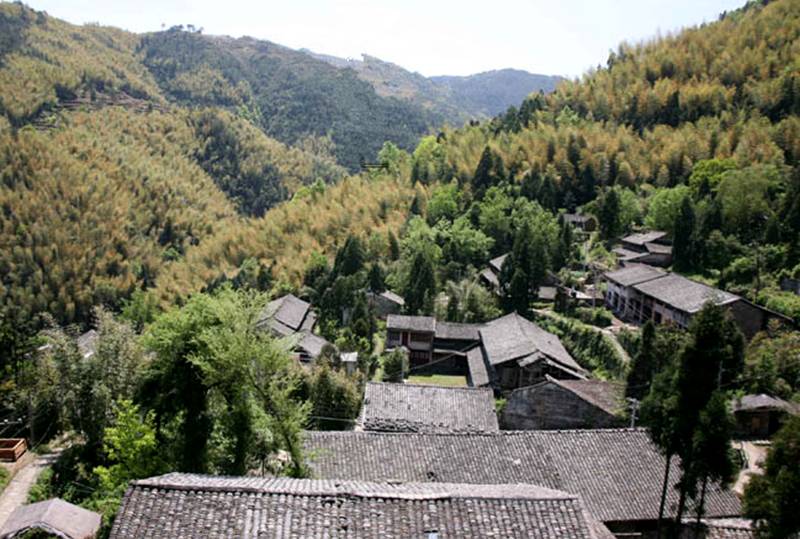 青街村,平阳西部青街乡