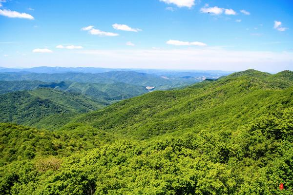 想去森林越野撒欢?辽宁千山等你来