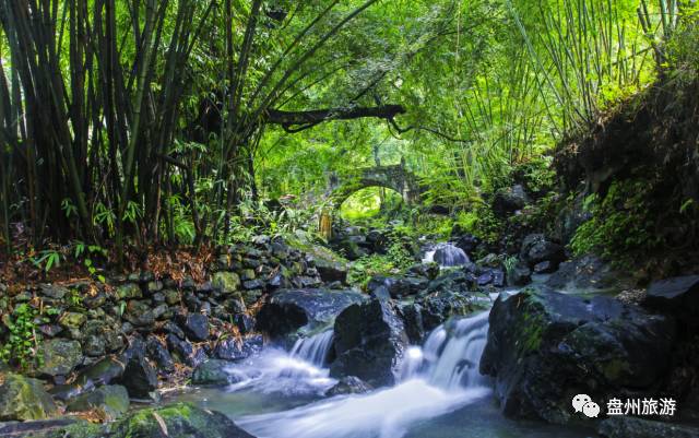 【盘州旅游】"文学盘州行"走进大洞竹海景区采风