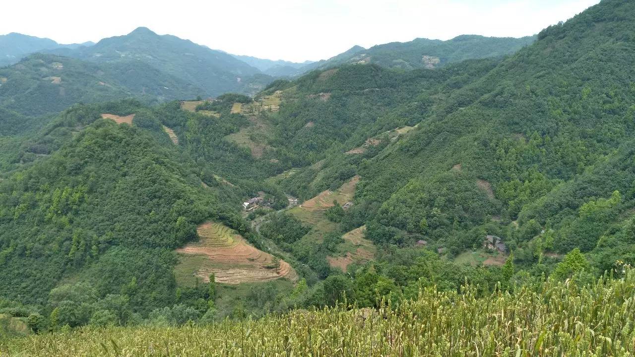 旅游 正文  盛夏六月,陕甘两省交界处的汉中市宁强县太阳岭镇,因独特