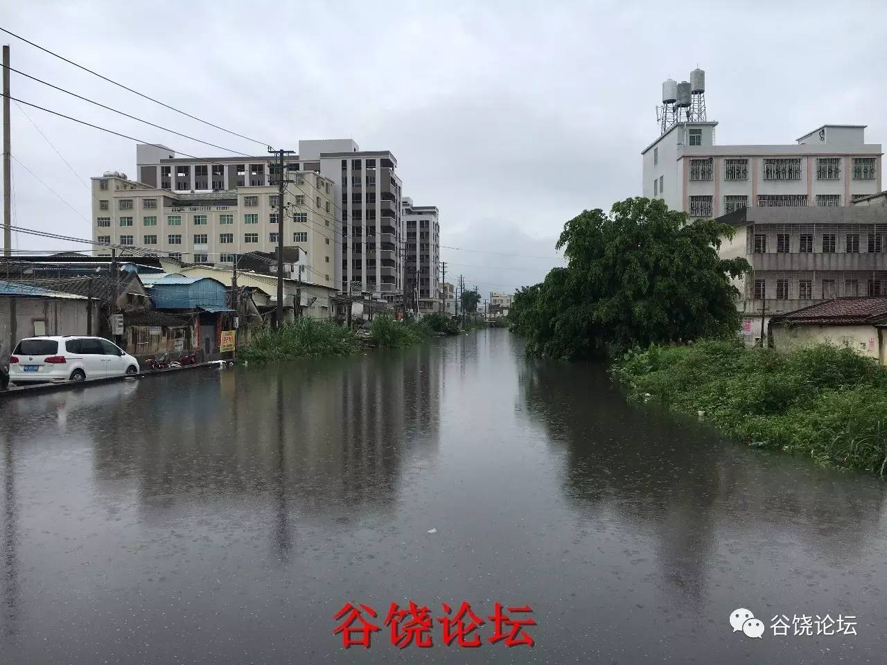 今日潮阳谷饶水情直播,欢迎来谷饶看海.