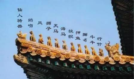 生活在北京的 神兽 ,你见过几个?