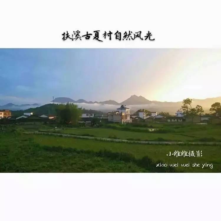 中夏村人口_揭阳市云路镇中夏村