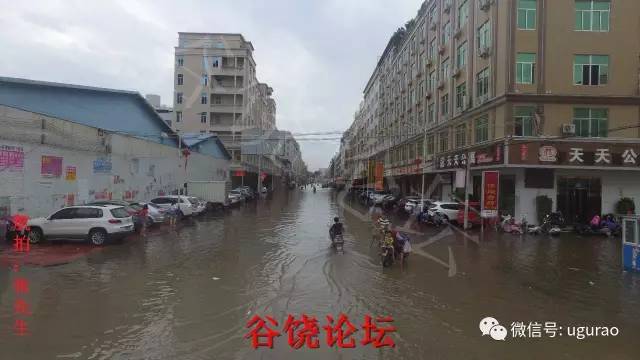 震撼航拍暴雨过后谷饶,他们才是最美的风景!