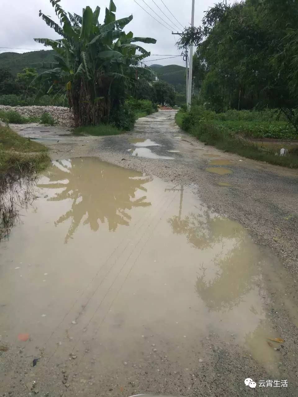 云霄列屿山前村人口数量_云霄列屿地图