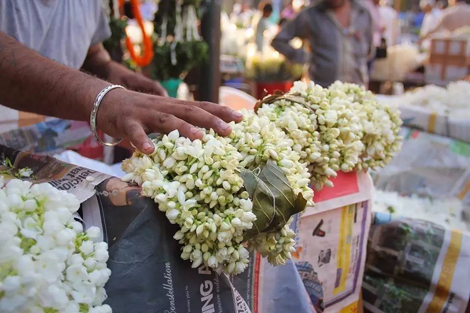 度假吗?和我去东南亚水上花市走一走,喔哦喔哦