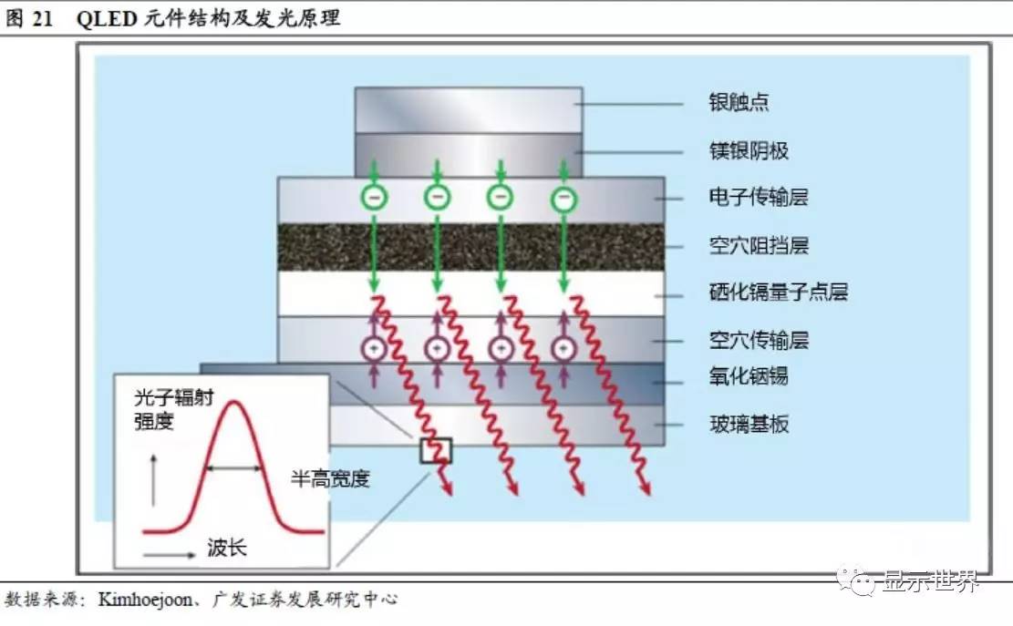 光的原理是什么呢_马齿芥的功效是什么呢(3)