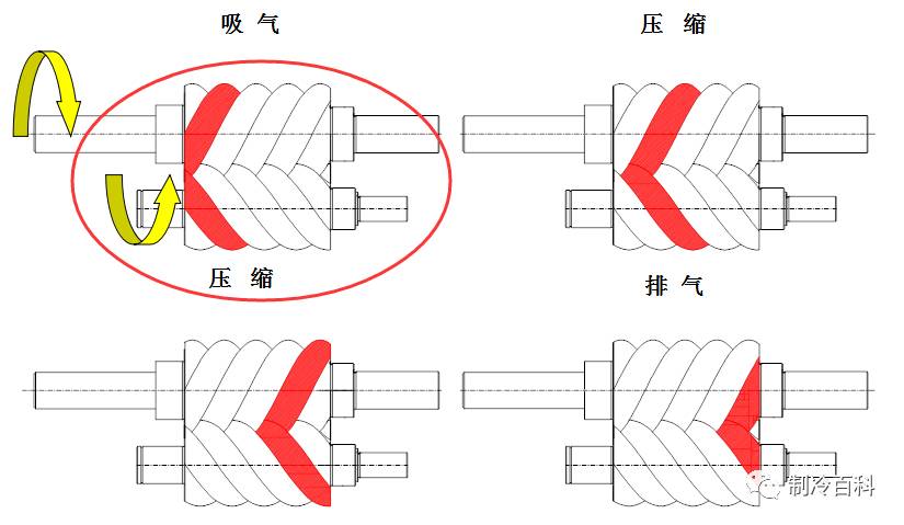 螺杆压缩机工作原理与结构分析