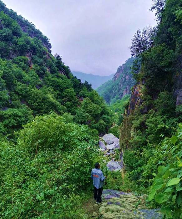 杨山风景区地址:嵩县木植街境内杨山脚下有一个风景秀丽的小山村