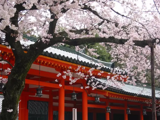 京都才是日本旅游的精华 其他地方那都是瞎逛