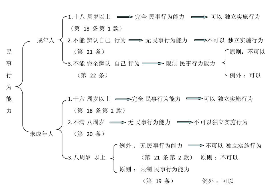 民事行为能力制度的体系性解读