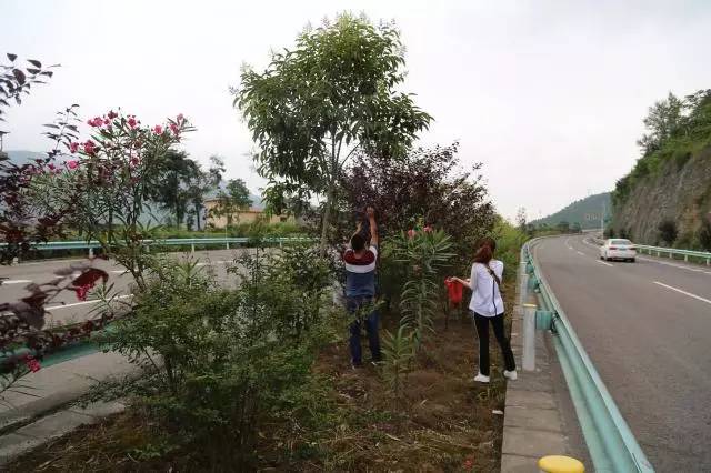 思南有多少人口_思南花甜粑图片