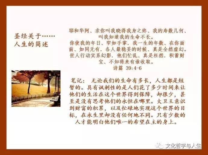 《圣经》中的"仁慈与宽容"