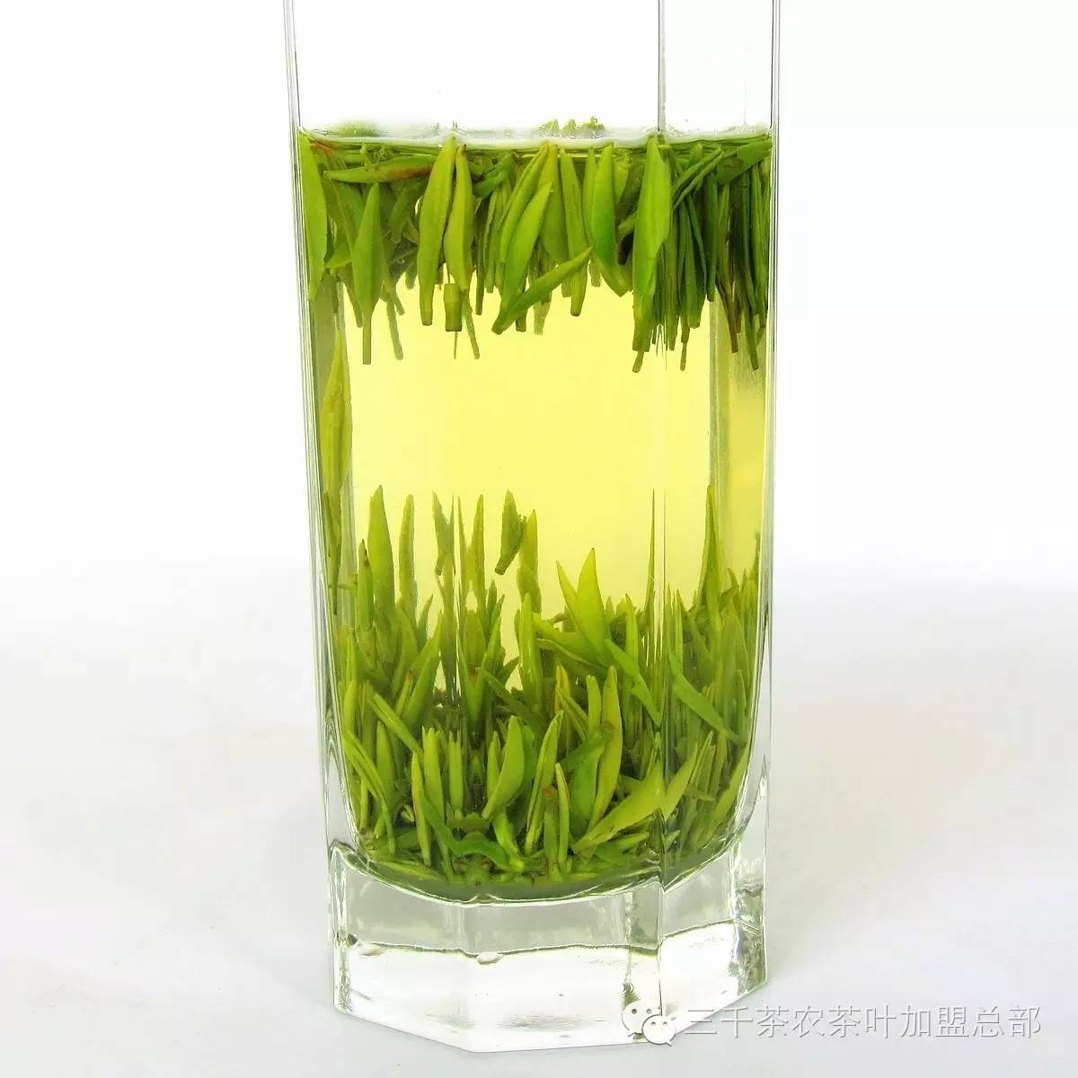 陈腐绿茶的外观色黄暗晦,无光泽,香气低沉,如对茶叶用口吹热气,湿润