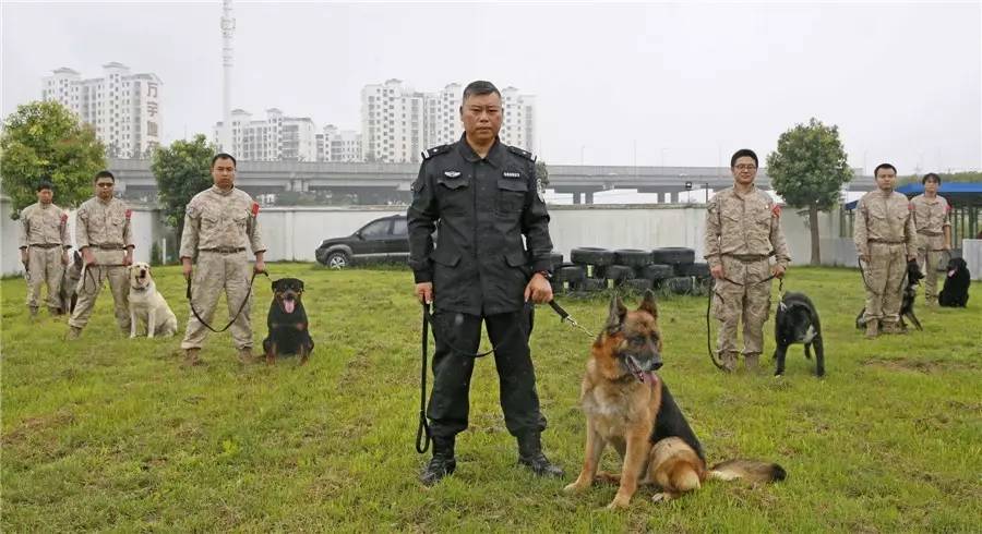 一起走进松江公安分局警犬基地,这些特殊"警探"个个身