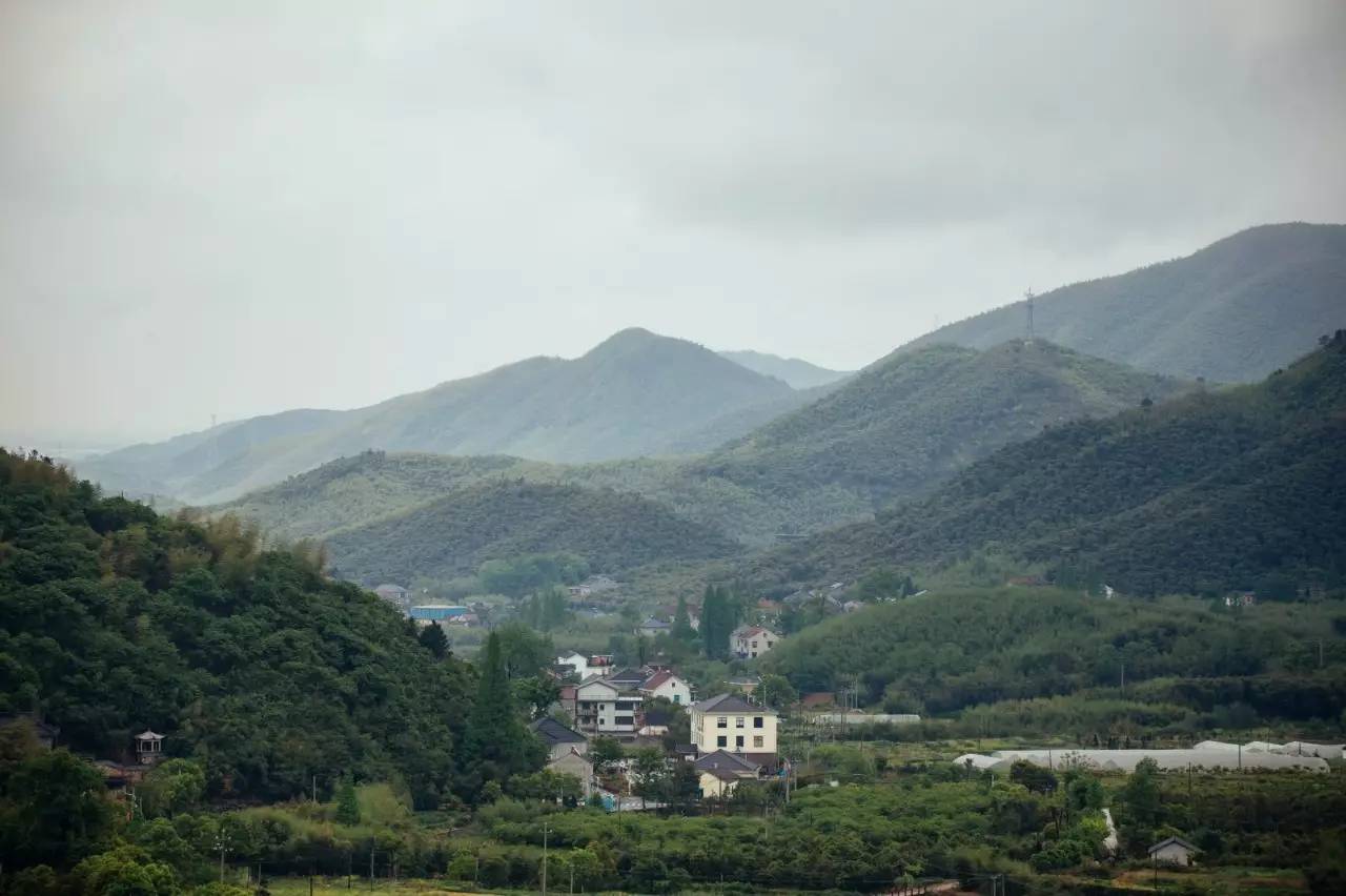 在莫干山,有一个很诗意的村落,叫做"仙潭村,因为村里有"仙人洞"