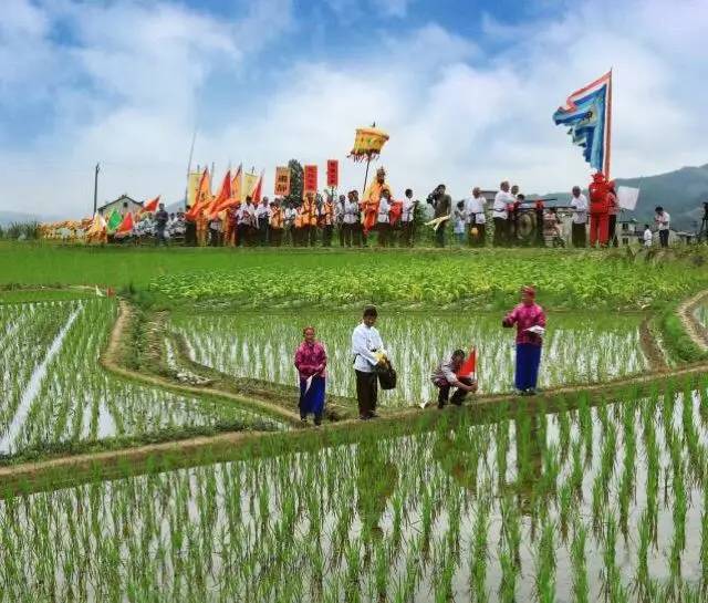 徽州安苗祭祀祈福盛会世代相传800余年,目前仅有绩溪每年才有上演