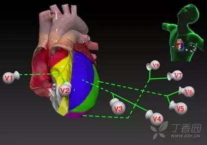 虫哥说图:秒懂左室 16 分法在心电,心超,心脏 ect 中的应用