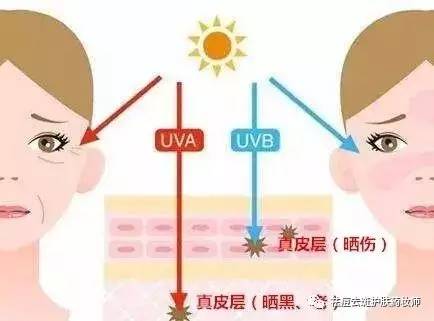 先涂防晒还是先涂隔离? ▼ 答 防晒一定要涂够量才能起到防护的作用.