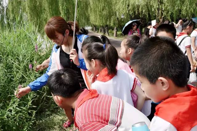 走进湿地公园 畅享自然教育