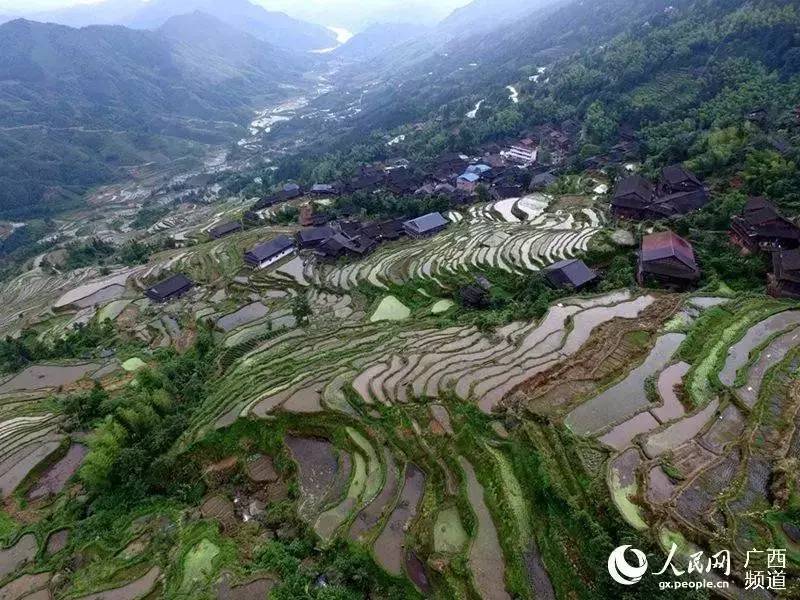 ,三江老堡乡白文村"古这梯田,三江县良口乡孟龙村梯田,三江县