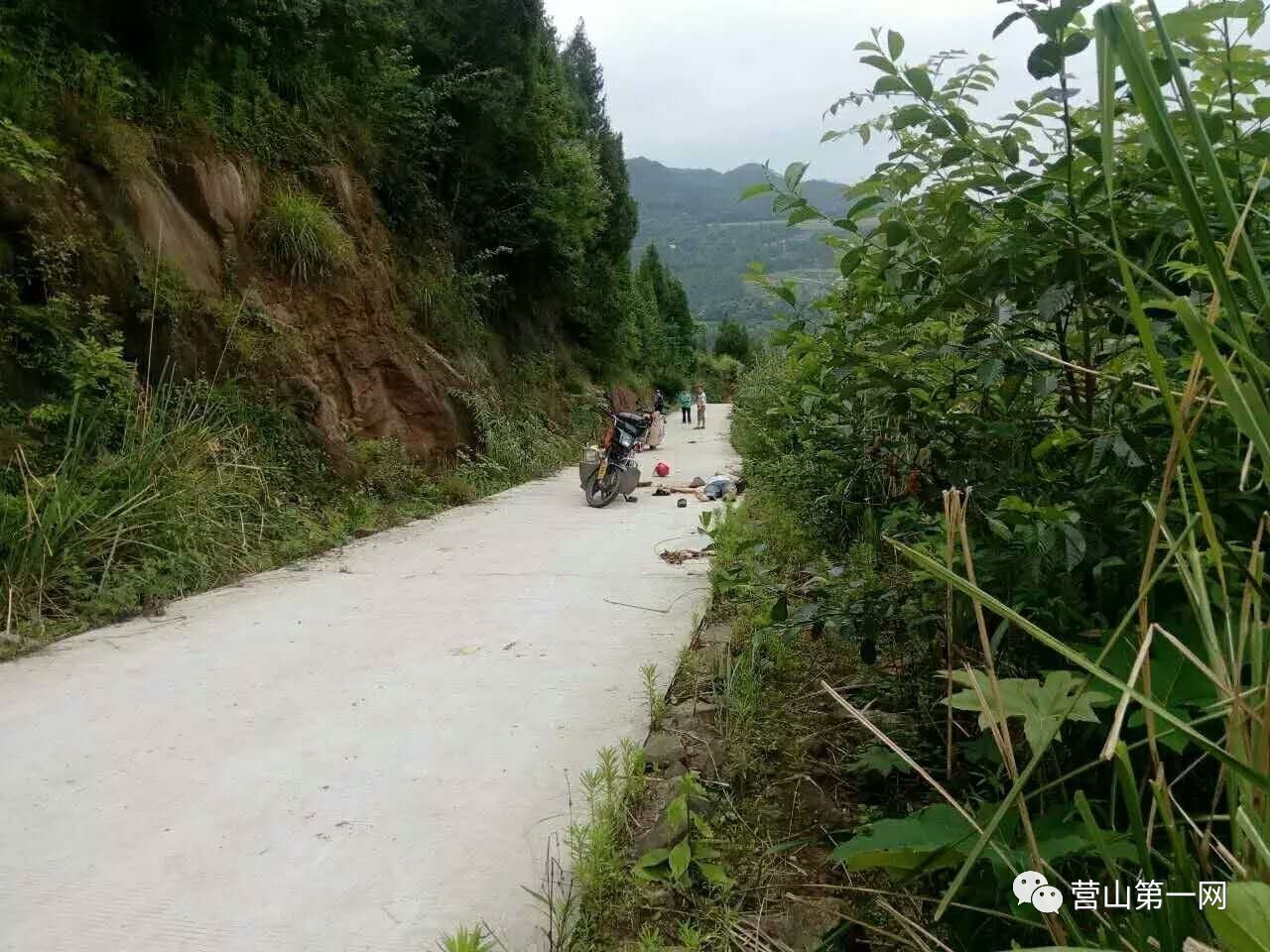 营山县柏林乡人口_营山县大庙乡