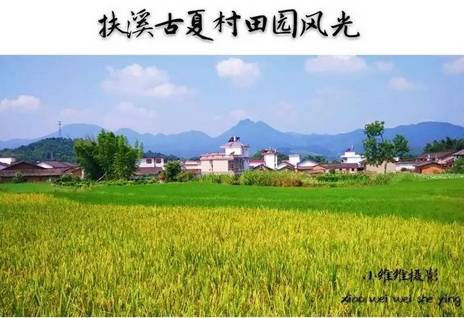 中夏村人口_揭阳市云路镇中夏村