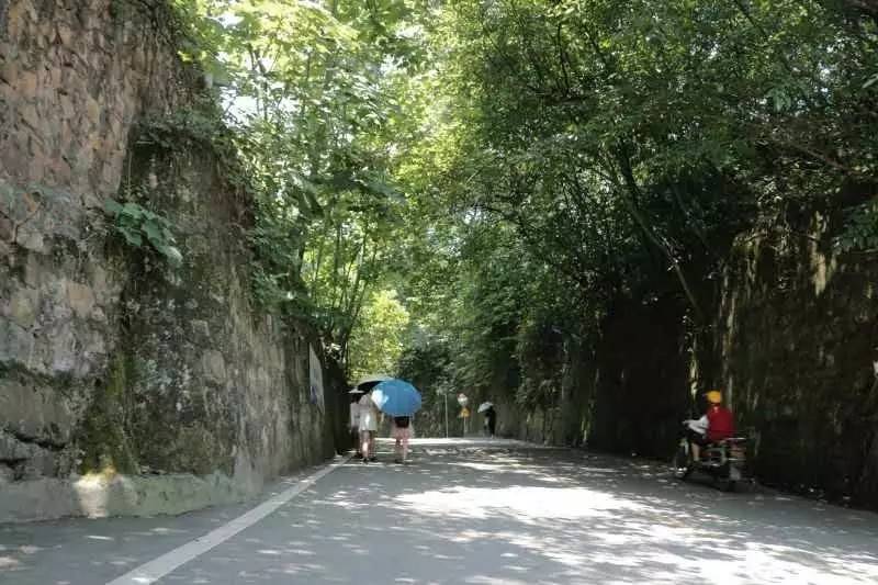 夺命坡闲逛镜湖聊看夏树青苍今日行走于梯头巷尾稍有不甘又小心翼翼的